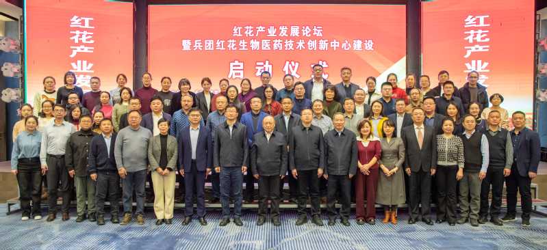 红花产业研究院2024年度总结...